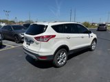 Used 2014 Ford Escape Titanium w/ Equipment Group 401A image 3