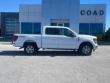 New 2025 Ford F150 XL image 2
