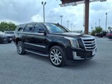 Used 2016 Cadillac Escalade Luxury image 2