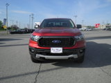 Used 2019 Ford Ranger XLT w/ Equipment Group 302A Luxury image 2