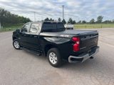 Used 2019 Chevrolet Silverado 1500 LT w/ Texas Edition image 5
