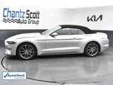 Used 2019 Ford Mustang Premium w/ Equipment Group 201A image 2