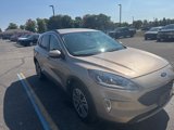 Used 2020 Ford Escape SEL image 5