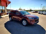 Used 2021 Ford Escape SE image 3
