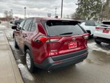 Certified 2024 Toyota RAV4 LE image 3