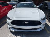 Used 2022 Ford Mustang Premium image 3