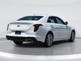New 2025 Cadillac CT4 Premium Luxury image 3