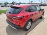 New 2025 Ford Escape Active w/ Cold Weather Package image 6