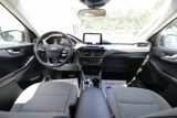 Used 2021 Ford Escape SE w/ Cold Weather Package image 3