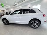Used 2022 Audi SQ5 Premium Plus image 4
