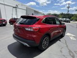 Certified 2022 Ford Escape Titanium w/ Titanium Premium Package image 3