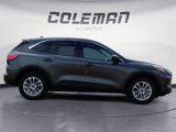 Used 2020 Ford Escape SE image 6