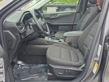 Certified 2024 Ford Escape Active w/ Tech Pack #1 image 4