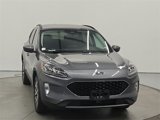 Used 2022 Ford Escape Titanium image 2