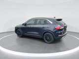 Used 2021 Ford Escape SE w/ Convenience Package image 6