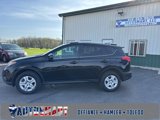 Used 2014 Toyota RAV4 LE image 2