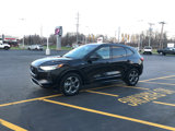 Used 2024 Ford Escape ST-Line image 4