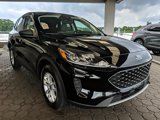 Used 2022 Ford Escape SE w/ Convenience Package image 3