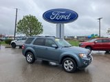 Used 2010 Ford Escape Limited image 1