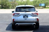 Used 2020 Ford Escape S image 4