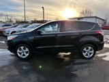 Used 2014 Ford Escape SE image 5