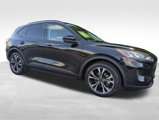 Used 2022 Ford Escape SE w/ SE Sport Appearance Package image 3