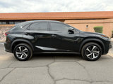 Used 2021 Lexus NX 300h AWD w/ Premium Package image 2