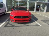 Used 2015 Ford Mustang Convertible w/ Equipment Group 051A image 4