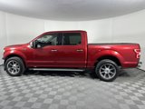 Used 2019 Ford F150 XLT w/ Equipment Group 302A Luxury image 2