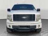 Used 2014 Ford F150 STX w/ Equipment Group 201A Mid image 2