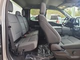 New 2025 Ford F150 XLT w/ Equipment Group 301A Standard image 5
