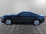 Used 2021 Ford Mustang Coupe image 4