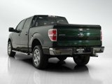 Used 2014 Ford F150 XLT w/ Equipment Group 302A Luxury image 3