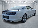 Used 2014 Ford Mustang Coupe image 5