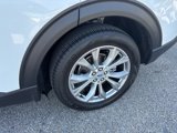 Certified 2023 Ford Explorer Limited image 3