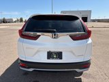 Used 2021 Honda CR-V Special Edition image 5