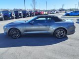 Certified 2022 Ford Mustang Premium image 6