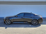 Certified 2024 Cadillac CT5 Sport w/ Climate Package image 2