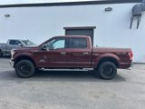 Used 2015 Ford F150 XLT w/ Equipment Group 302A Luxury image 3
