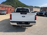 New 2024 Ford F150 XLT image 4