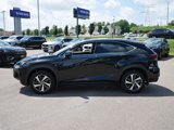Used 2019 Lexus NX 300 AWD w/ Premium Package image 4