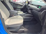 Certified 2021 Ford Escape SE image 4