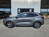 Used 2024 Ford Escape ST-Line image 2