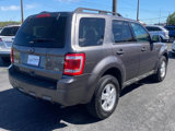 Used 2011 Ford Escape XLT image 5