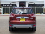 Used 2014 Ford Escape Titanium image 5