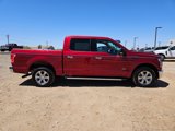 Used 2016 Ford F150 XLT w/ Equipment Group 302A Luxury image 4