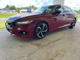 Used 2022 Honda Accord Sport image 4