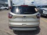 Used 2018 Ford Escape Titanium image 4