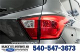 Used 2019 Ford Escape Titanium image 6