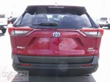 Used 2021 Toyota RAV4 XLE Premium image 3